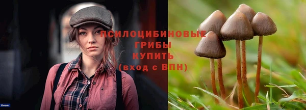 мескалин Арсеньев