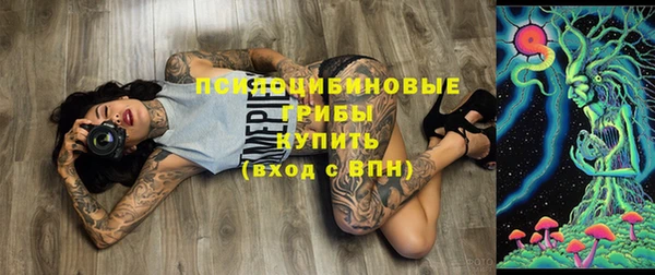 мескалин Арсеньев
