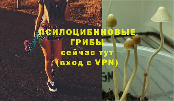MDMA Дмитров